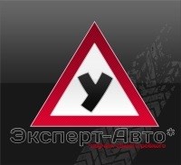 Логотип компании Эксперт АВТО, автошкола