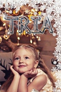 Логотип компании Tria, фотошкола